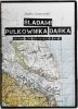 DVD. ŚLADAMI PUŁKOWNIKA DĄBKA – OBRONA KĘPY OKSYWSKIEJ W 1939 R. - Stefan Krasowski
